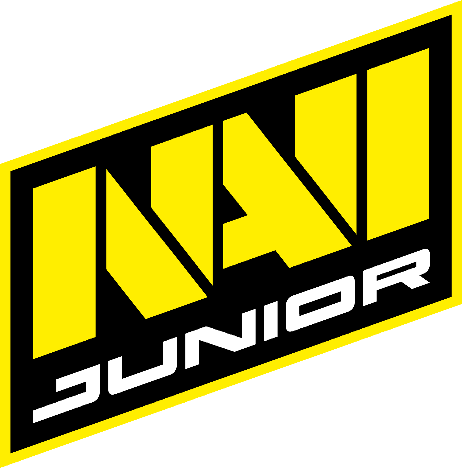 Natus Vincere Junior
