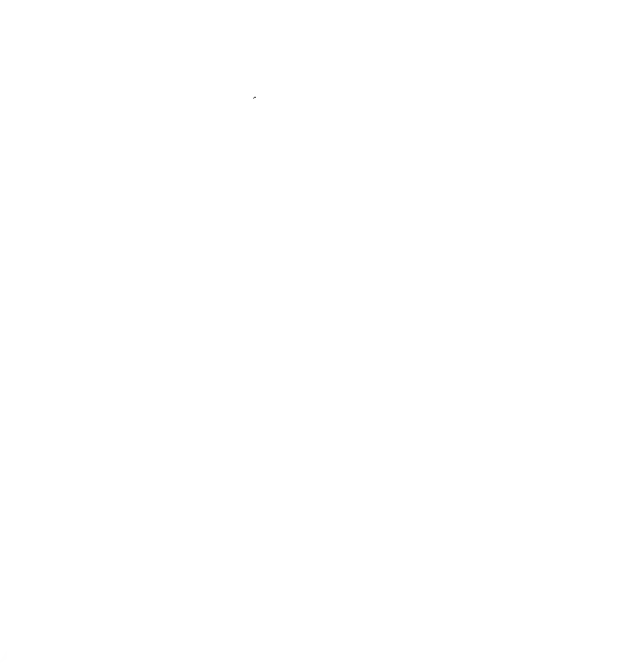 Balu Team 